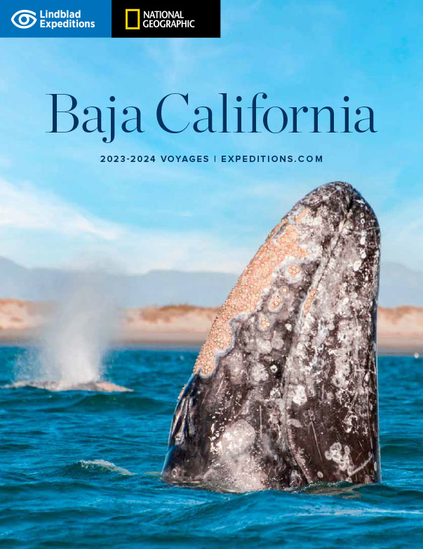 Baja California 2023-24