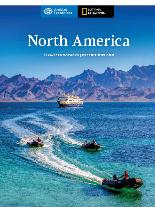 North America 2024-25