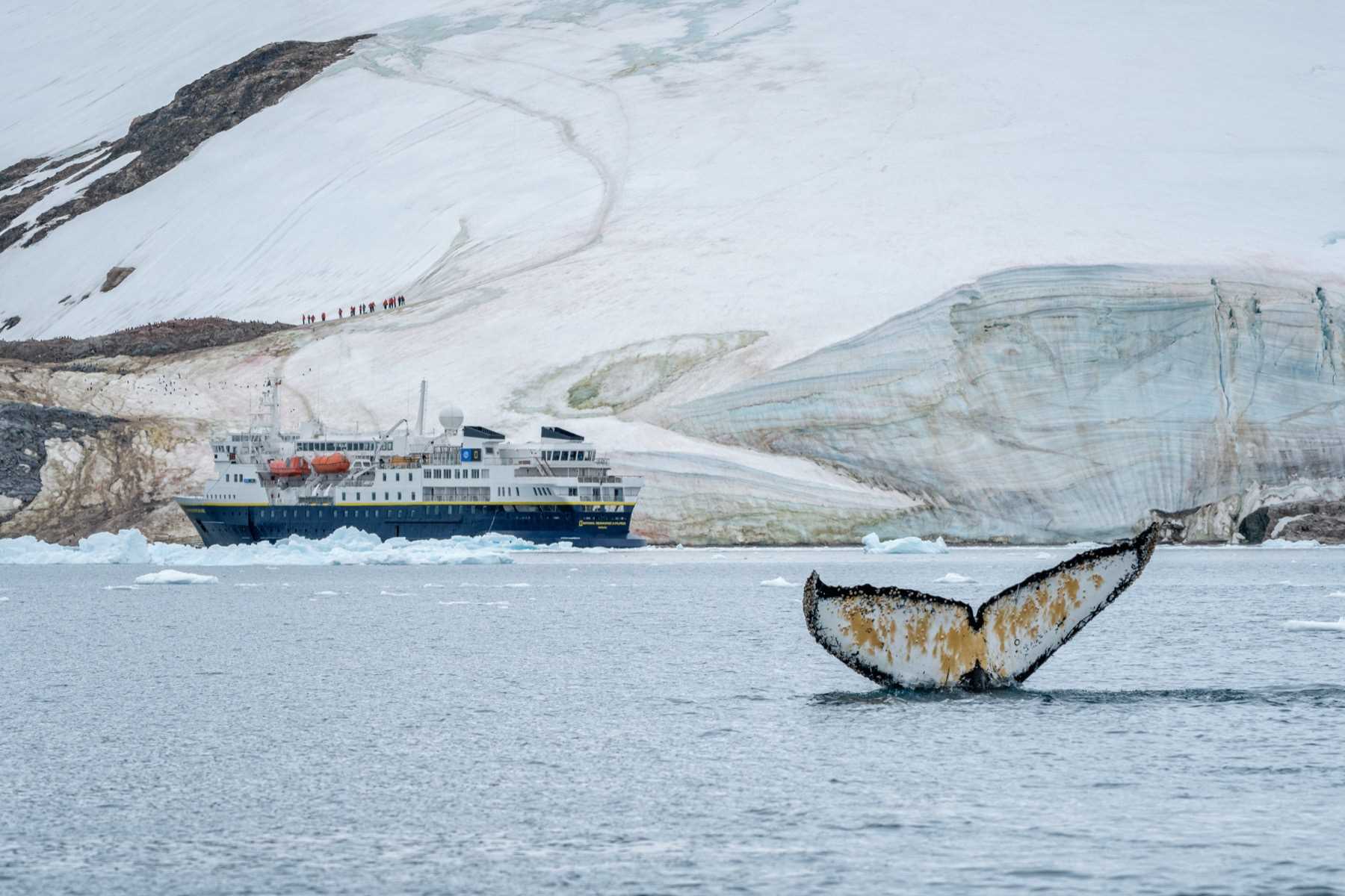 NKelley Whale Day Photo #5.JPG