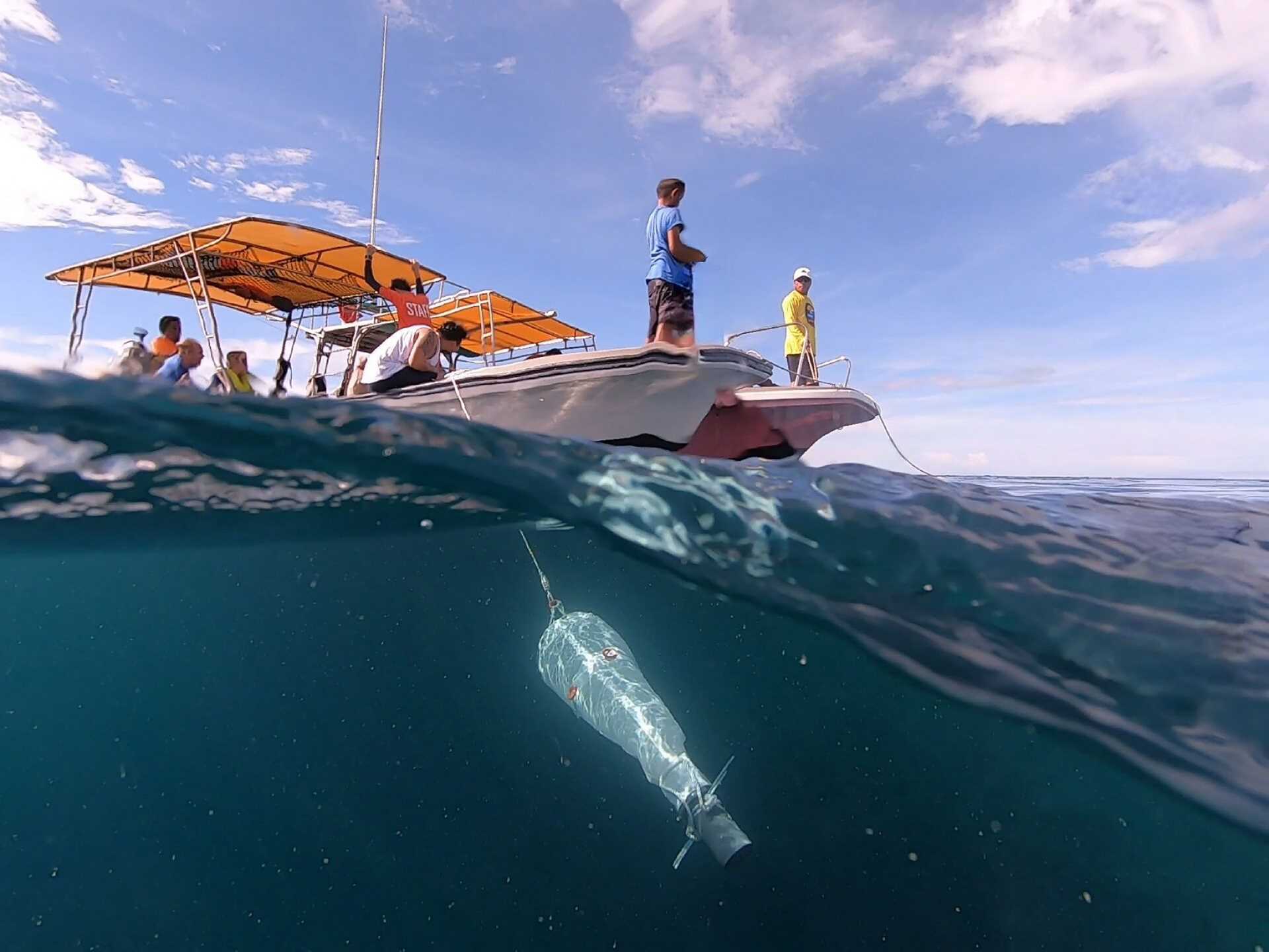 a research boat taking plankton samples