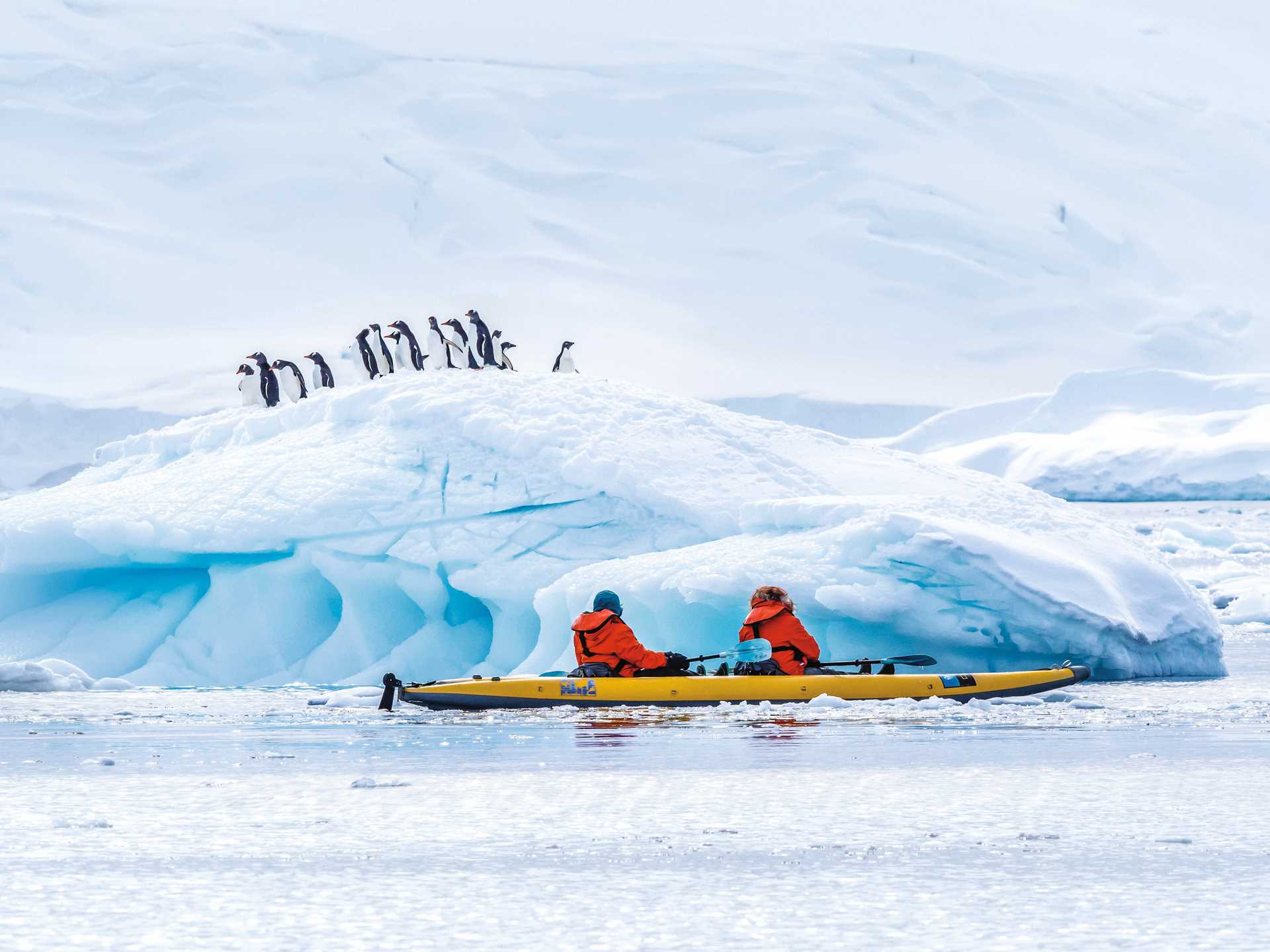 Large RGB-Lindblad Expeditions-Antarctica AA802.jpg