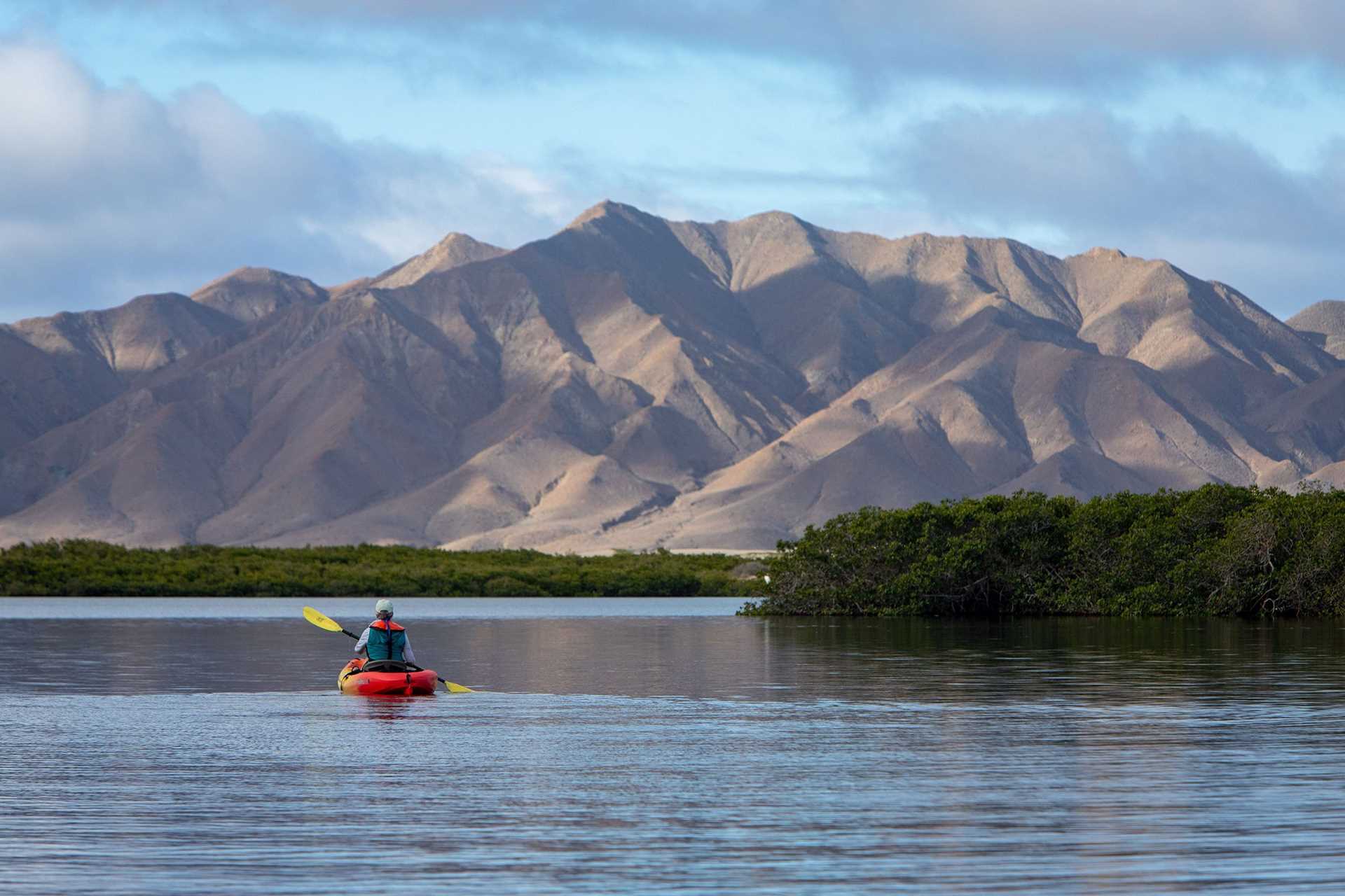 kayaker