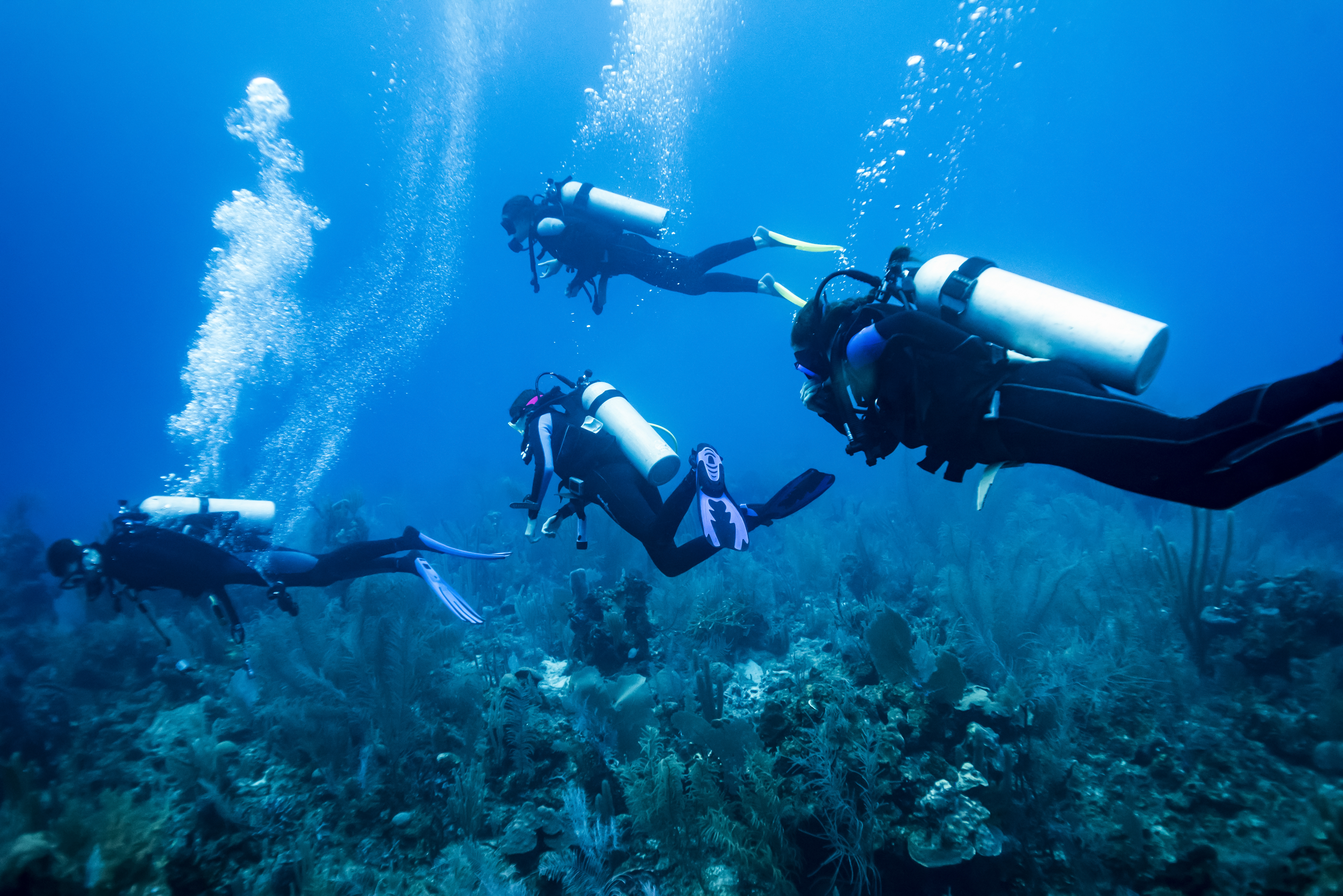 Scuba divers at Majestic Point Dive Site, Belize Barrier Reef