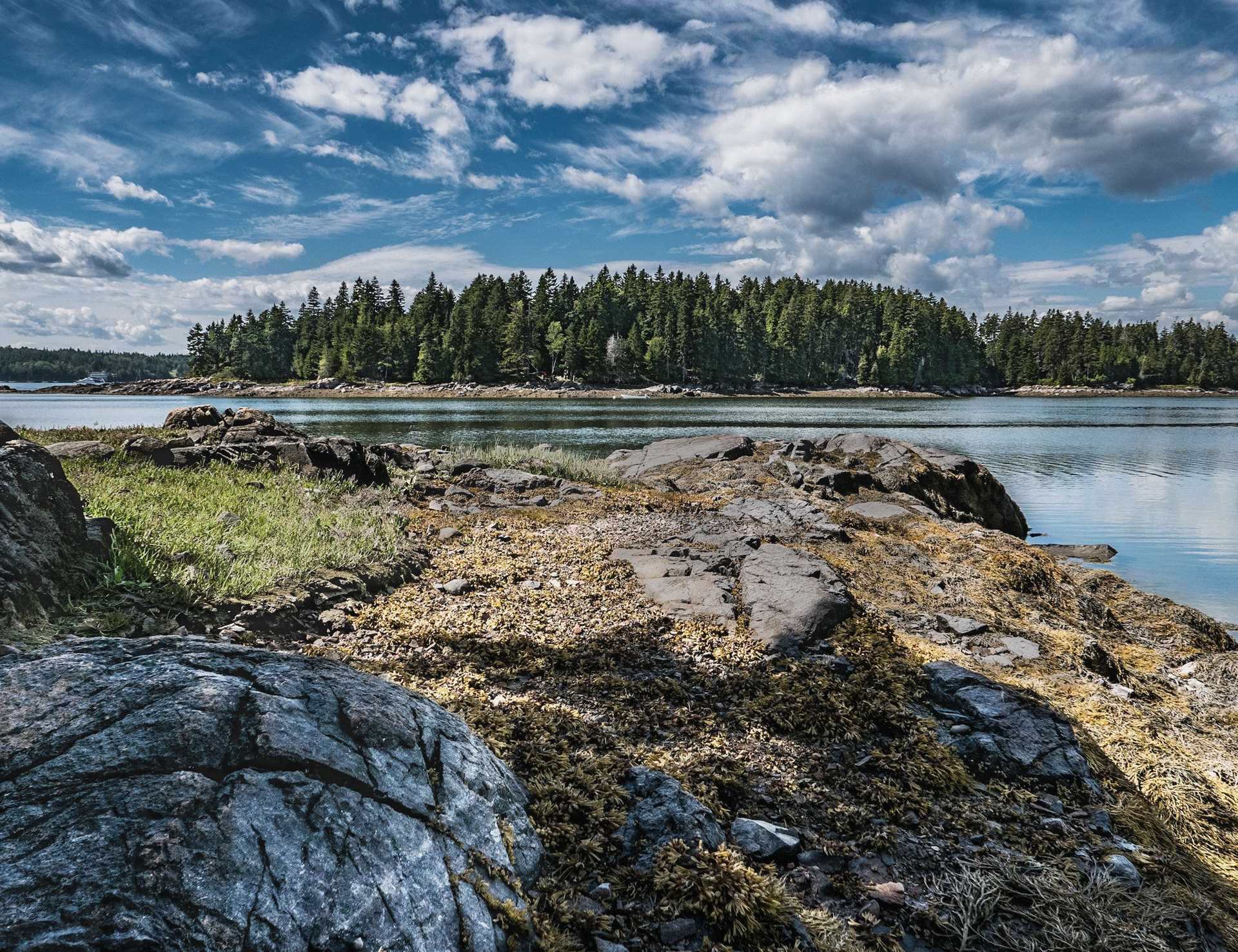 Schoodic Peninsula Acadia National Park.jpg