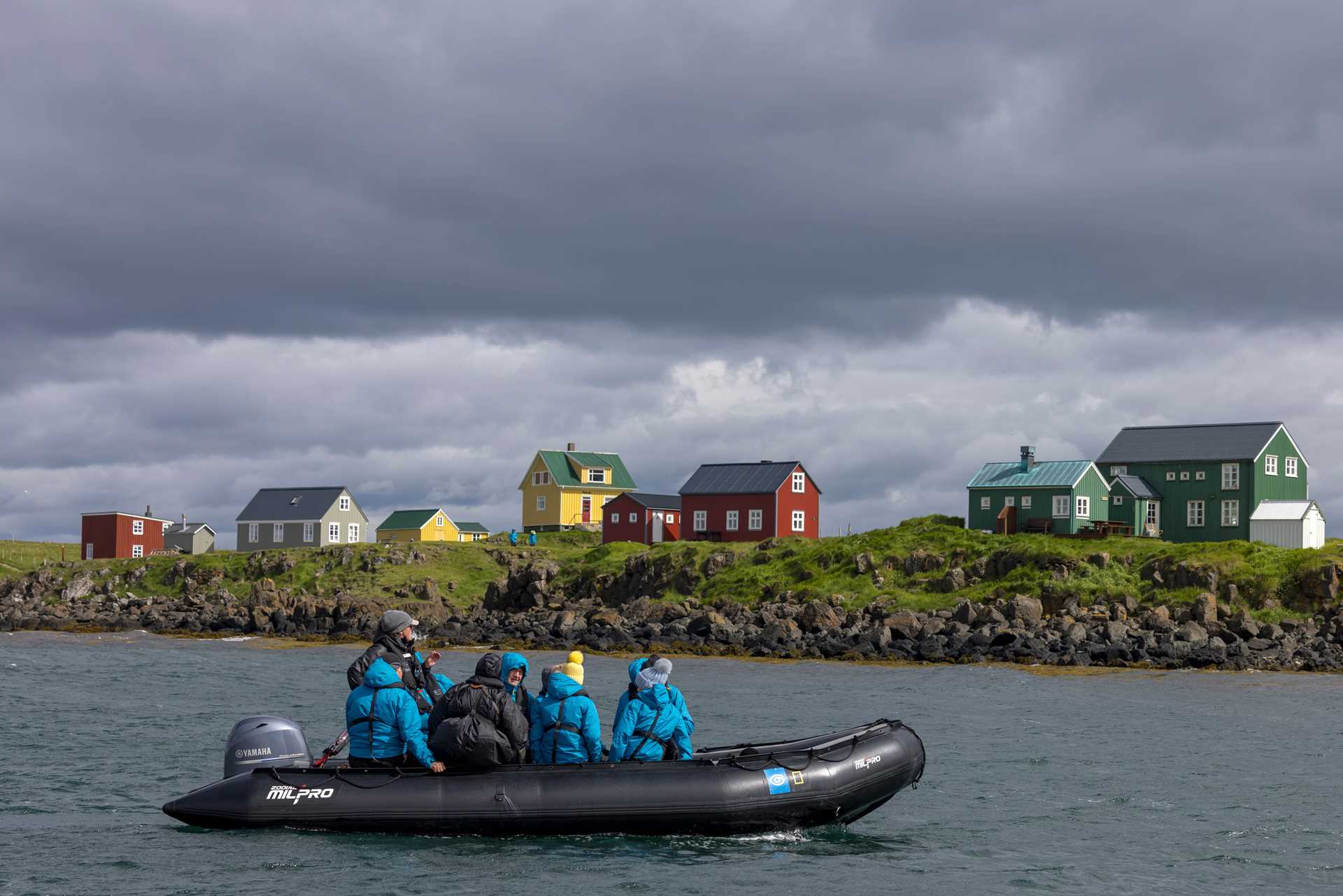 Large RGB-Lindblad Expeditions-Iceland Flatey Island apeacock 220622-0142.jpg