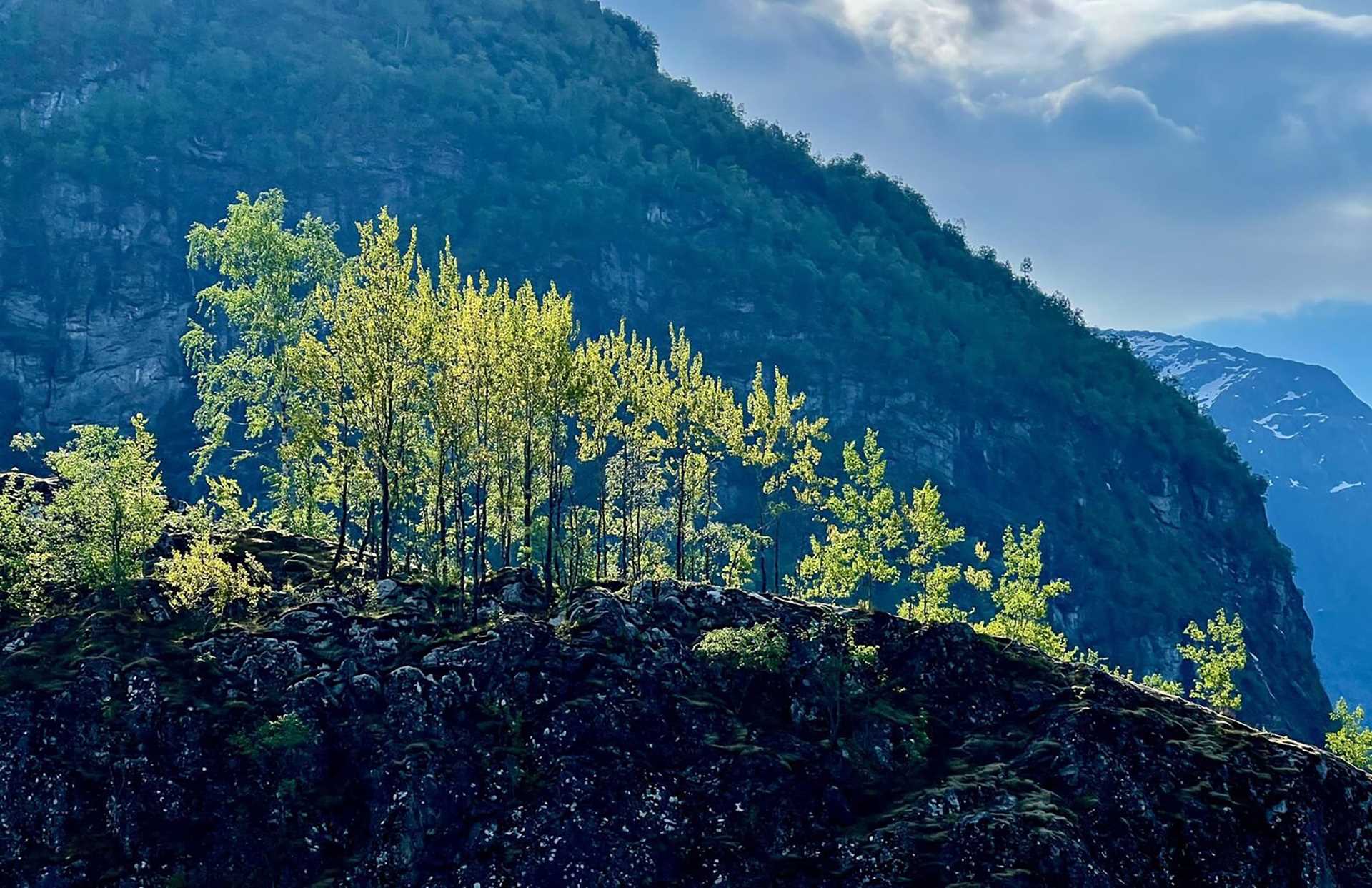 landscape in Nordfjord, Norway